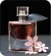 product3.png